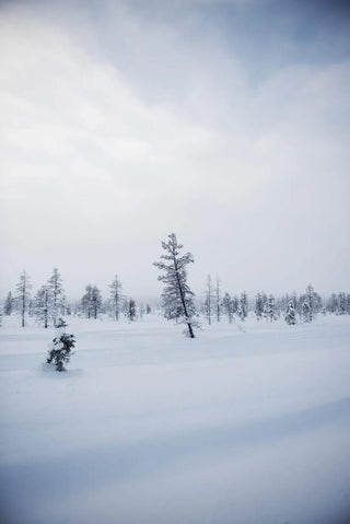 NORDIC.CHRISTMAS - Eat Finland