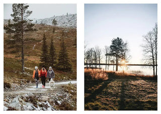 NORDIC.CHRISTMAS - Recipes And Unforgettable Experiences