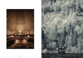 NORDIC.CHRISTMAS - Recipes And Unforgettable Experiences