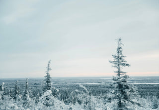 NORDIC.CHRISTMAS - I Made This For You – Christmas Gift and Decorations ...