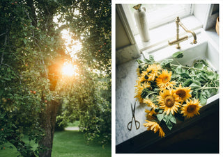 NORDIC.CHRISTMAS - Nordic Summer Cookbook