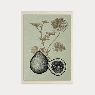 NORDIC.CHRISTMAS - Blumengruss/Gerargonium/Vegan print
