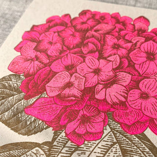 NORDIC.CHRISTMAS - Postcard/Hydrangea/Eco - paper