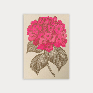 NORDIC.CHRISTMAS - Postcard/Hydrangea/Eco - paper