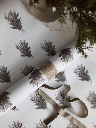 Set of 3 Pieces Spruce branches on white wrapping paper