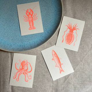 Place card set/Sea Animals, set of 8