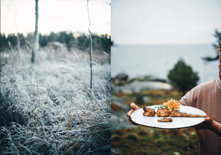 Cookbook: Chef’s Wild Nordic – Recipes for 72 Micro-Seasons