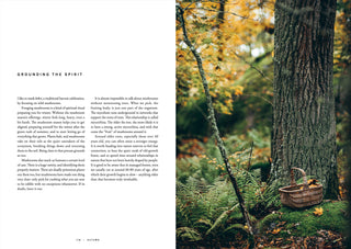 Cookbook: Chef’s Wild Nordic – Recipes for 72 Micro-Seasons
