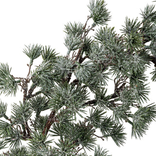 Frosted cedar wreath
