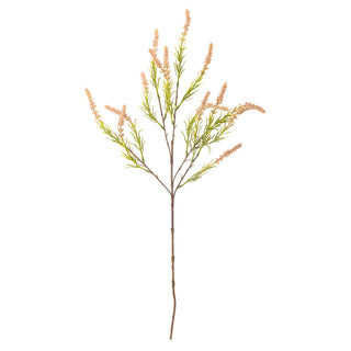 Rose Foxtail stem