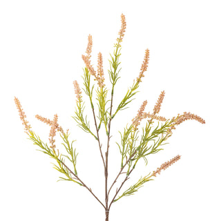 Rose Foxtail stem