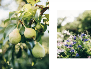 Knits from Our Gardens