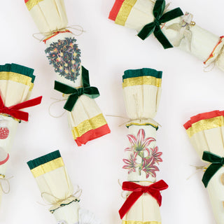 John Derian Christmas No-Snap Crackers - Pack of 6