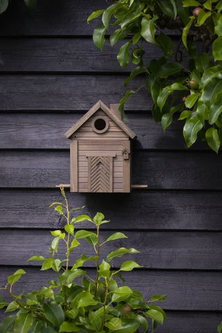 Multiholk Green Umber Feeder and Bird Nest
