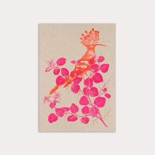 Postcard/Hoopoe/Plant Dye/Eco Paper