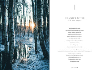 Cookbook: Chef’s Wild Nordic – Recipes for 72 Micro-Seasons