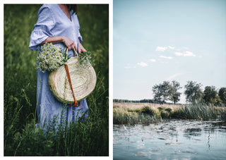 Nordic Summer Cookbook