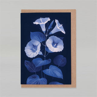 Morning glory Greeting Card