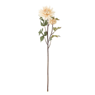 NORDIC.CHRISTMAS - Cream Dahlia