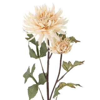 NORDIC.CHRISTMAS - Cream Dahlia