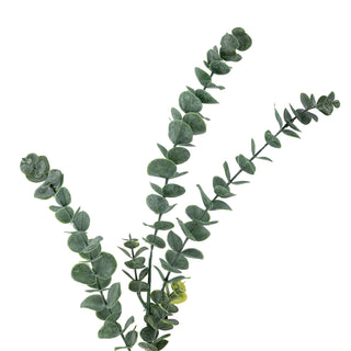 NORDIC.CHRISTMAS - Eucalyptus stem