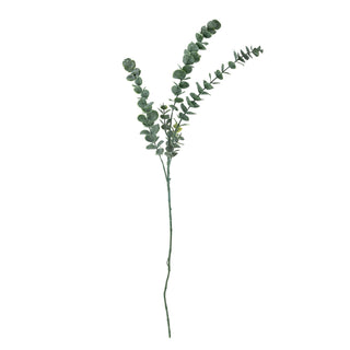NORDIC.CHRISTMAS - Eucalyptus stem
