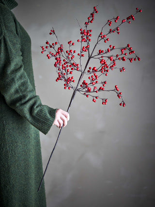 Red Ilex Stem