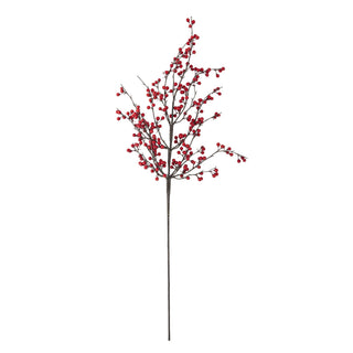 Red Ilex Stem