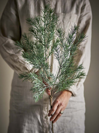 Pine Stem