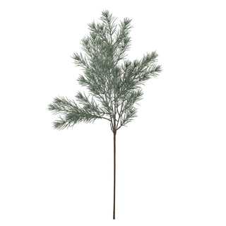 Pine Stem