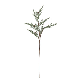 Pine Stem with Pinecones
