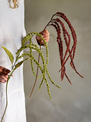 NORDIC.CHRISTMAS - Red Foxtail stem