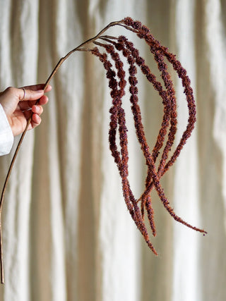 NORDIC.CHRISTMAS - Red Foxtail stem