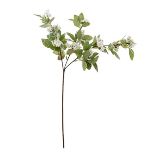 White Snowberry Stem