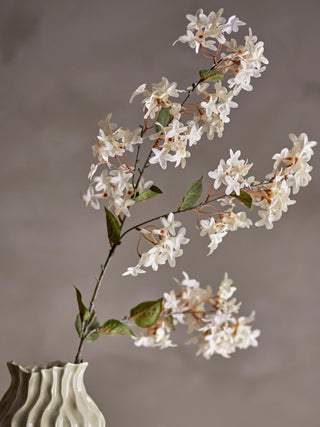 NORDIC.CHRISTMAS - White Myrtle branch