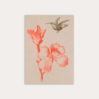 Postcard/Flower with Hummingbird/Plant Dye/Eco Paper