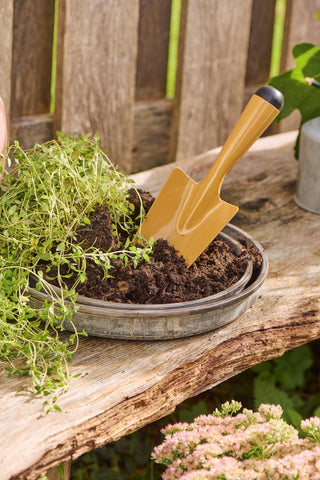 Round metal Urban Garden tray filled with potting soil, a trailing herb plant, and a mustard-yellow garden trowel on a wooden bench