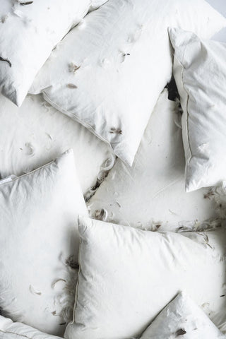 Overhead view of white cushion fillers piled together with feathers scattered across them