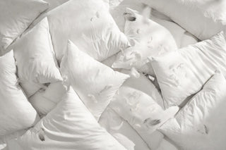 Overhead view of white cushion fillers with scattered feathers and one feather caught mid-air