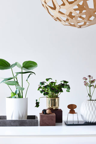 Small Brass Flower Pot