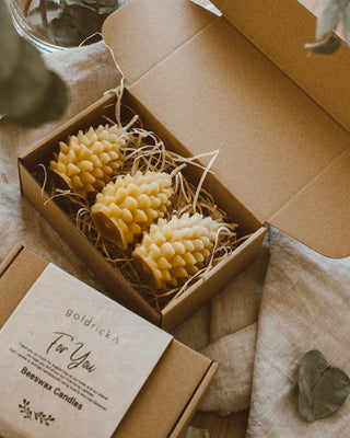 Pine cone beeswax candles - Handmade