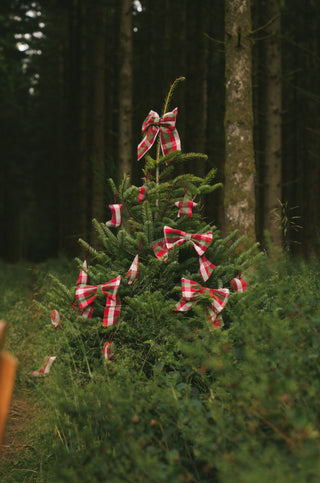 Kantine Chili bows - set of 2