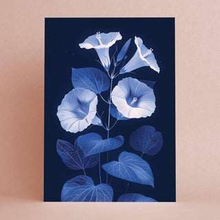 NORDIC.CHRISTMAS - Morning glory Greeting Card