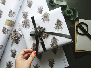 NORDIC.CHRISTMAS - Set of 3 Pieces Spruce branches on white wrapping paper
