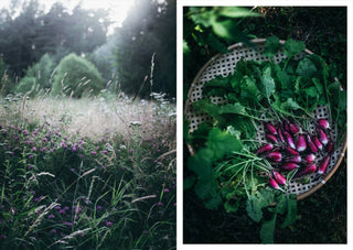 NORDIC.CHRISTMAS - Nordic Summer Cookbook