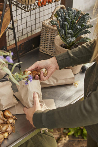 Woman filling kraft paper bags with flower bulbs and fresh herbs in a greenhouse potting area