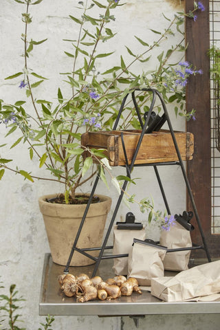 Kraft paper bags with clip closures beside flower bulbs on a potting bench with blooming shrubs