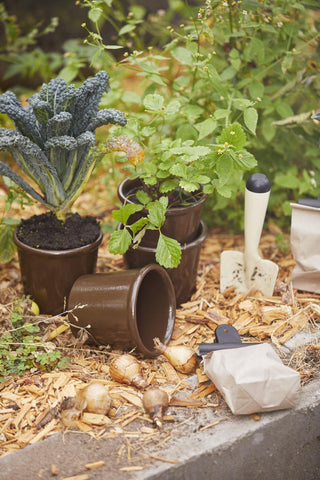 Kraft paper bag beside terracotta pots, flower bulbs, and a garden trowel in a vegetable patch