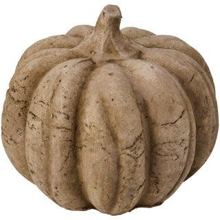 Terracotta pumpkin with a natural raw, ribbed surface on a white background