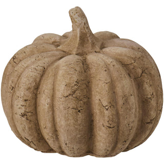 Standing terracotta pumpkin with a textured, cracked natural raw surface on a white background